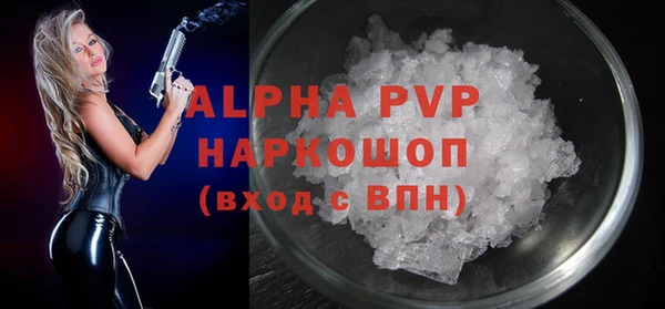 гидра Абаза