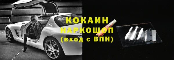 гидра Абаза