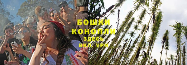 гидра Абаза