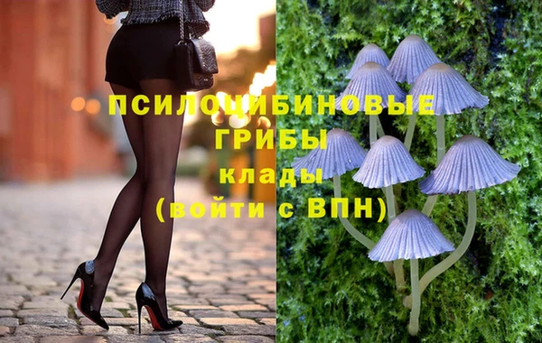 ПСИЛОЦИБИНОВЫЕ ГРИБЫ Абдулино